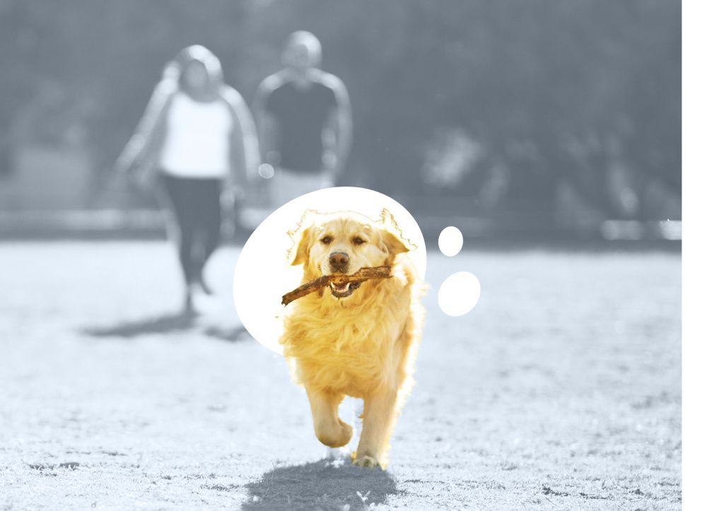 БЛОГ-4.jpg БЛОГ-4.jpg